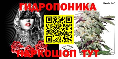 марихуана Новокубанск