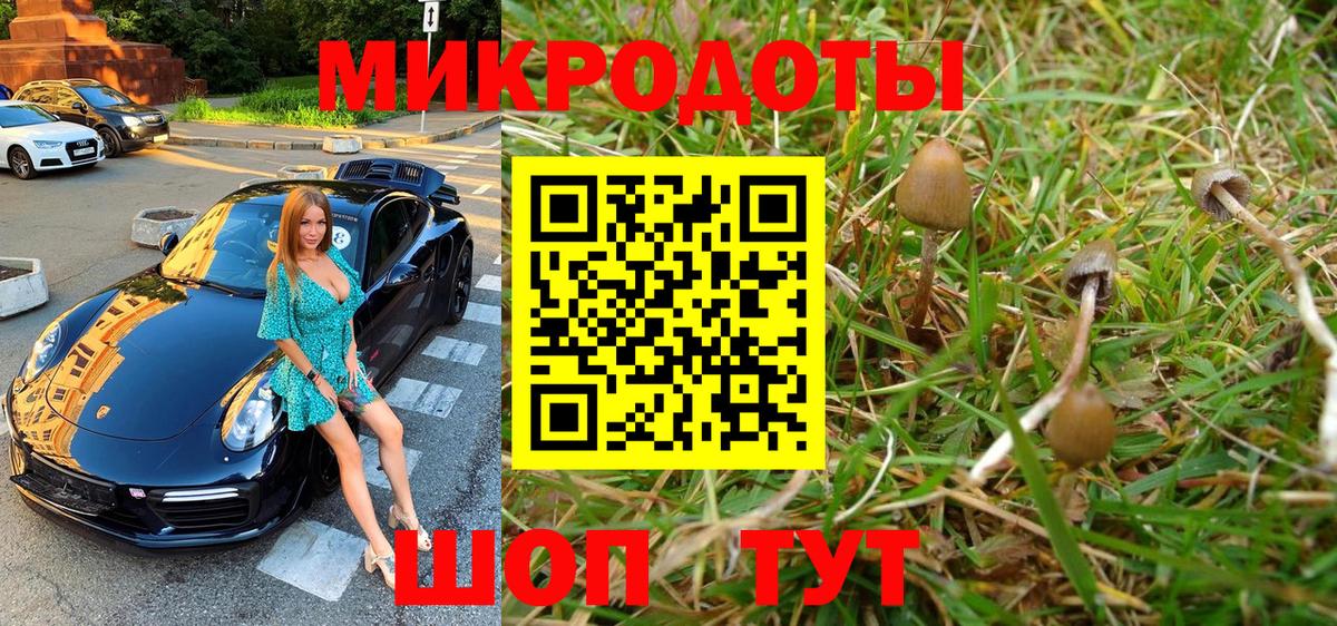 Тимашёвск  Галлюциногенные грибы MAGIC MUSHROOMS  Вход с VPN 