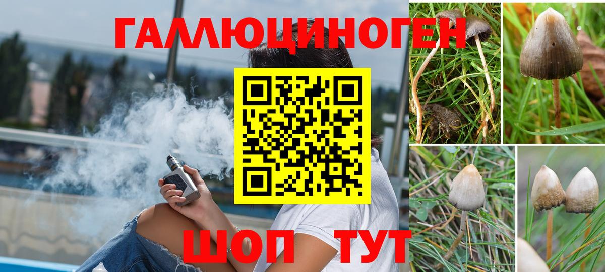 Галлюциногенные грибы Magic Shrooms Тимашёвск